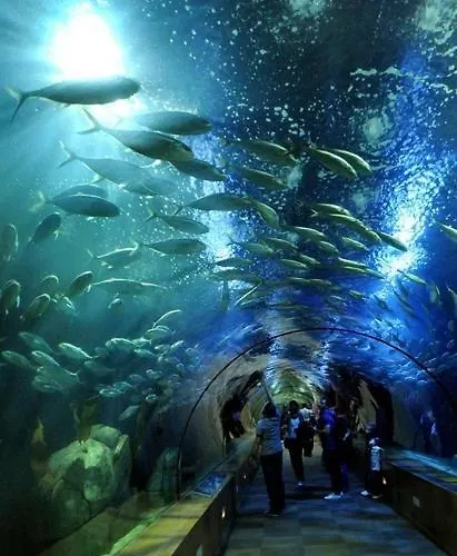 Bed Of The Sea 2* 瓦伦西亚