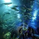 Bed Of The Sea 2* ולנסיה